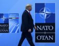 The relevance of NATO. We need it more than ever